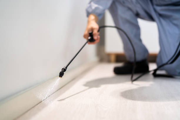 Licensed Termite Control service in Rose Hill, VA - Nex Pest Control