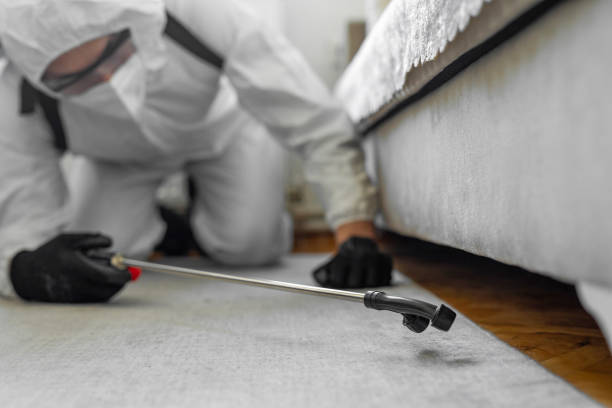 Professional Termite Control technician working in Rose Hill, VA