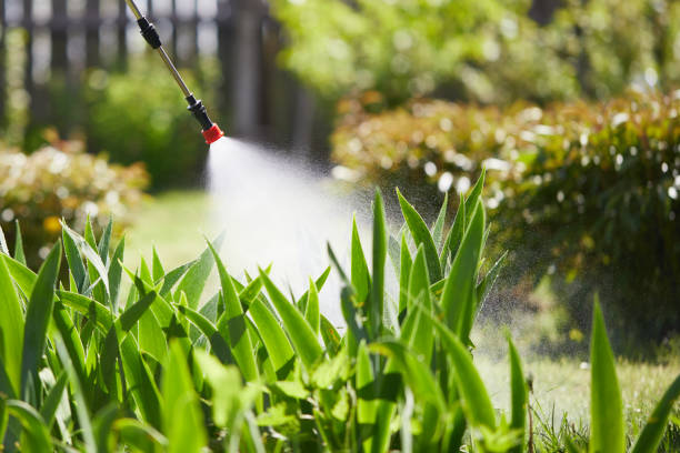 24/7 Emergency Termite Control experts in Rose Hill, VA