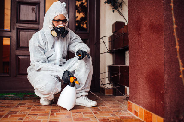 Reliable Termite Control contractor in Rose Hill, VA by Nex Pest Control