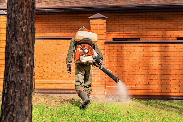 Top rated local Termite Control specialists in Rose Hill, VA